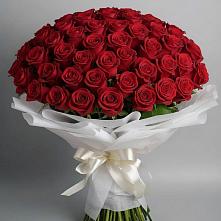 Букет 101 Красная роза Блэк Мэджик в Краснозоринском