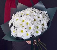 Букет цветов из:  Хризантемы #REPLACE_PRED# Краснозоринском