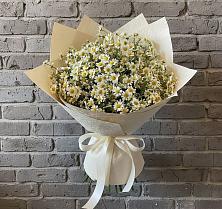 Букет цветов из:  Ромашки в Краснозоринском