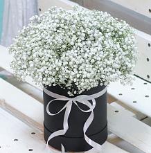 Цветочная композиция из Гипсофила в шляпной коробке #REPLACE_PRED# Краснозоринском