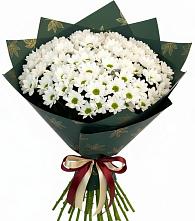 Букет цветов из:  Хризантемы #REPLACE_PRED# Краснозоринском