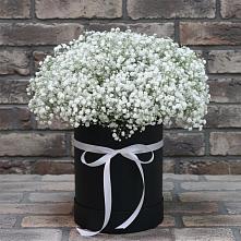 Цветочная композиция из Гипсофила в шляпной коробке #REPLACE_PRED# Краснозоринском