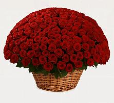 Премиум букет из: Розы в Краснозоринском